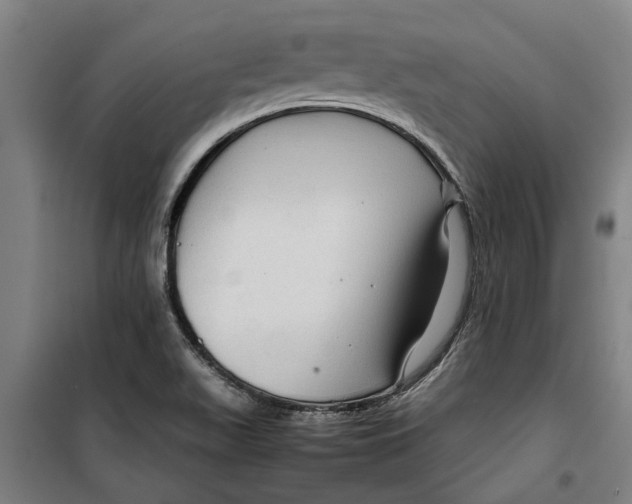 X0000099411511200805301334