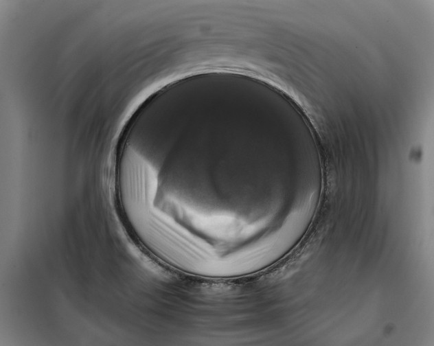 X0000099411515200805301334