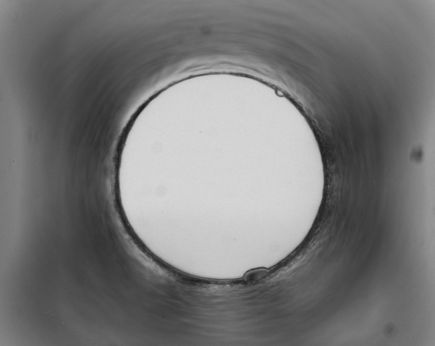 X0000099411518200805301335