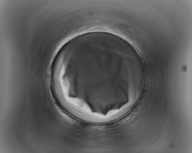 X0000099411519200805301335