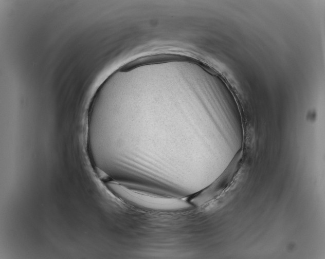 X0000099411520200805301335