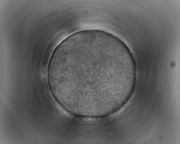 X0000099411521200805301335