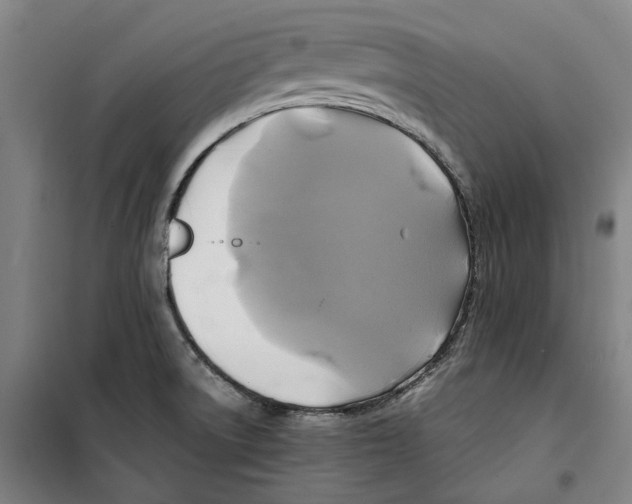 X0000099411522200805301335