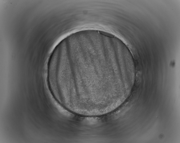 X0000099411523200805301335