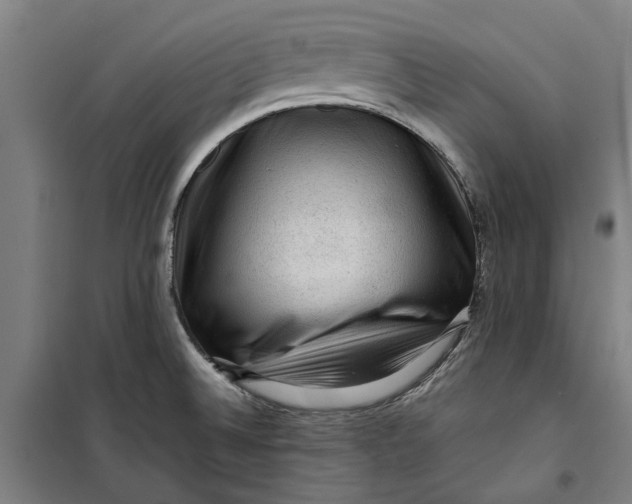 X0000099411524200805301335