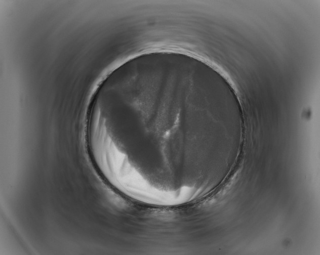 X0000099411525200805301335