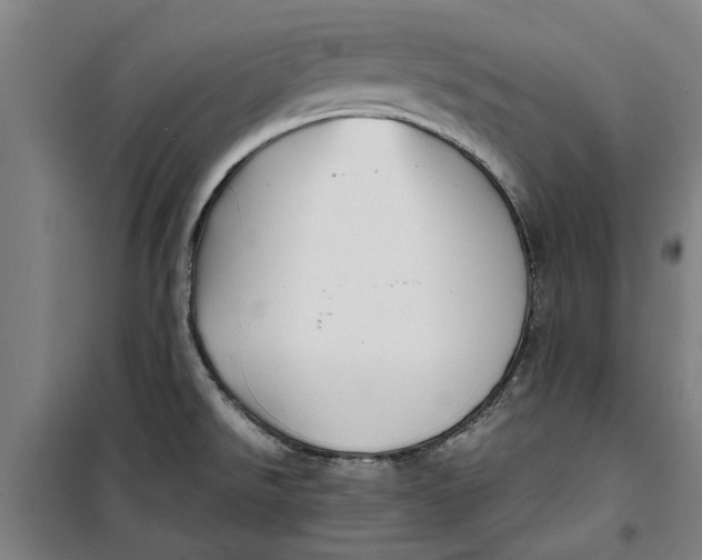 X0000099411526200805301335