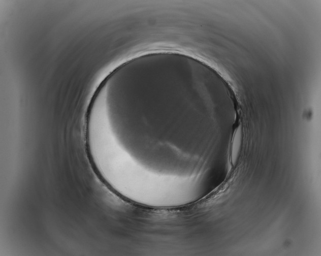 X0000099411527200805301335