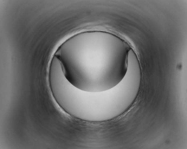 X0000099411528200805301335