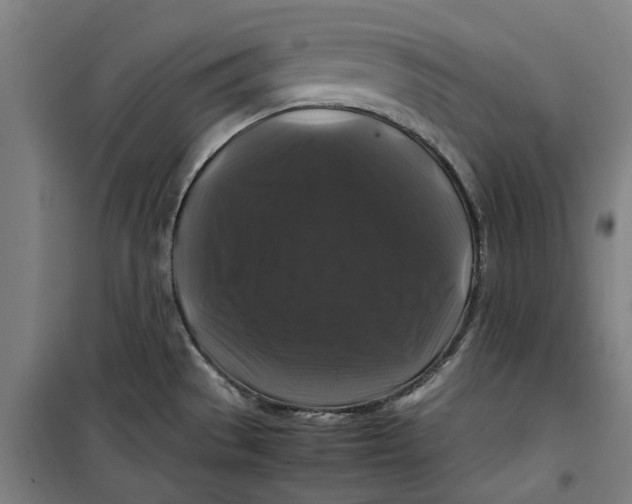 X0000099411529200805301335