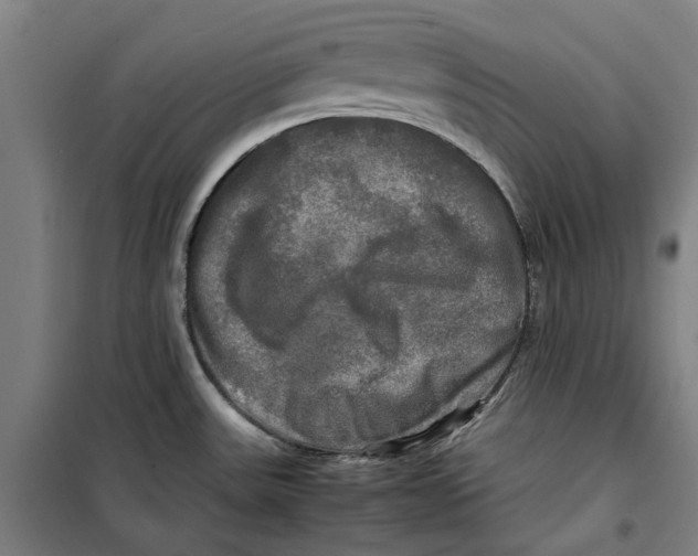 X0000099411531200805301335