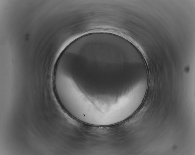 X0000099411533200805301335