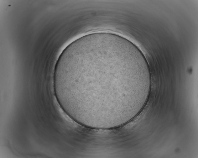 X0000099411534200805301335