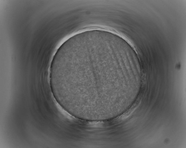 X0000099411535200805301335