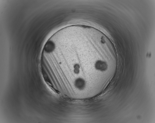 X0000099411536200805301335