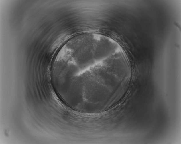 X0000099410002200806060942