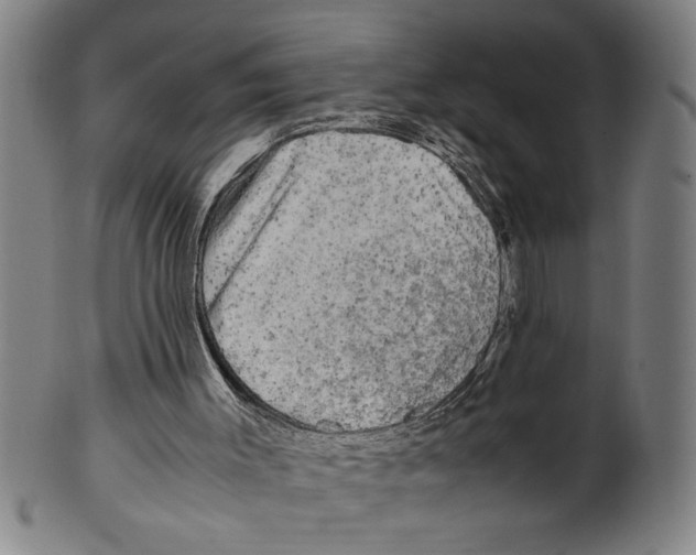 X0000099410003200806060942