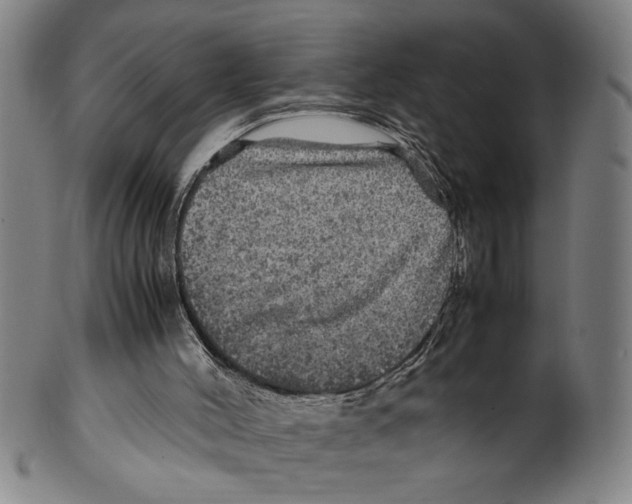 X0000099410004200806060942