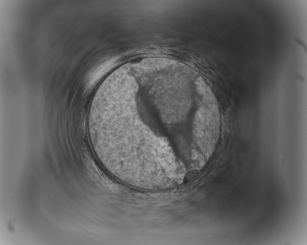 X0000099410005200806060942