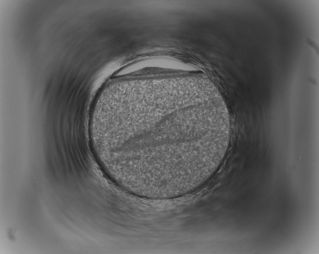 X0000099410006200806060942