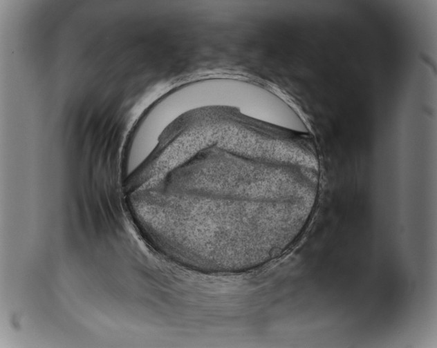 X0000099410008200806060942