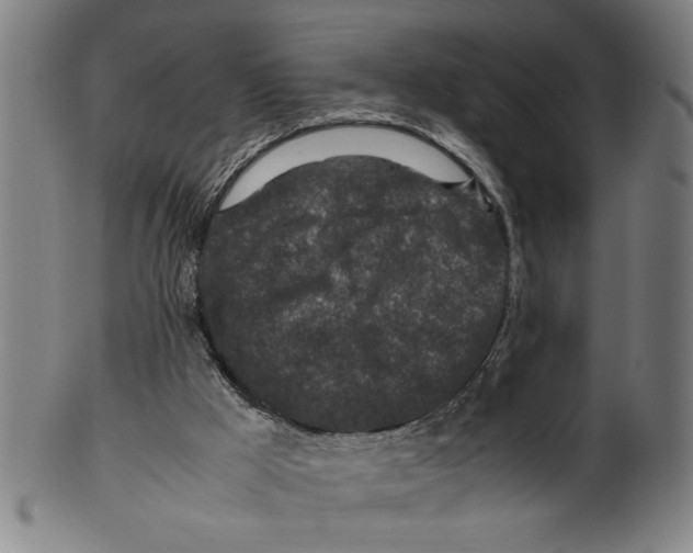 X0000099410009200806060942