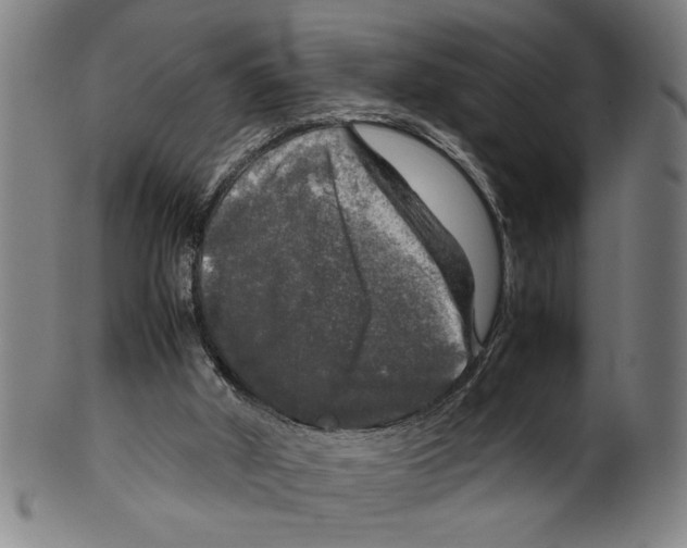 X0000099410010200806060942