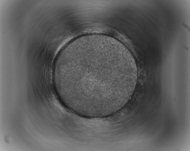 X0000099410012200806060942