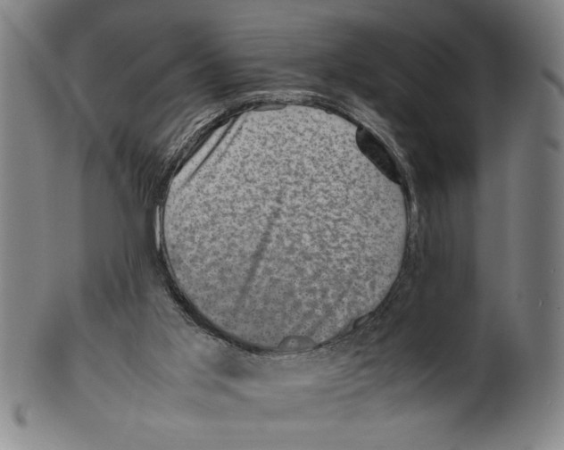 X0000099410013200806060942