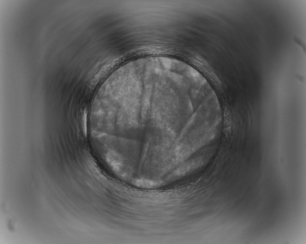 X0000099410014200806060942