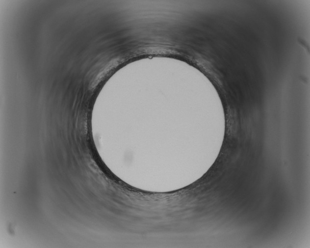 X0000099410015200806060942