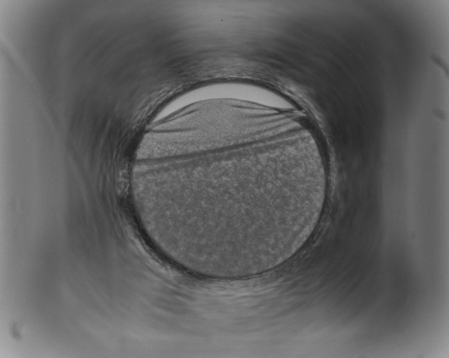 X0000099410017200806060942