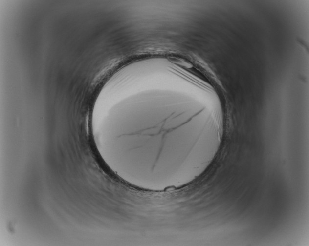 X0000099410019200806060942