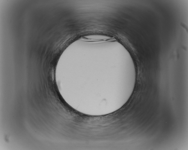 X0000099410021200806060942