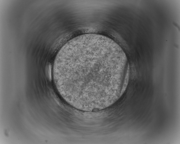 X0000099410022200806060942