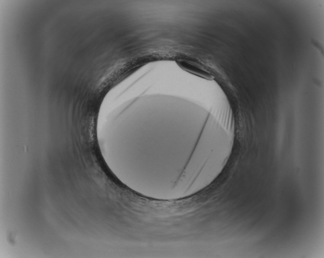 X0000099410023200806060942