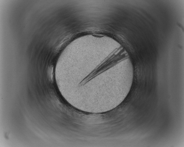 X0000099410024200806060942