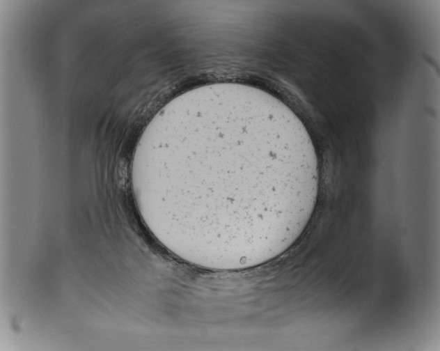 X0000099410025200806060942