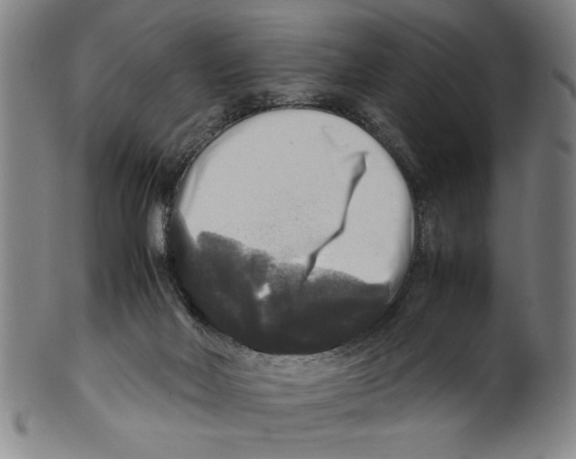 X0000099410026200806060942