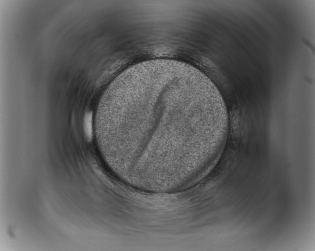 X0000099410028200806060942