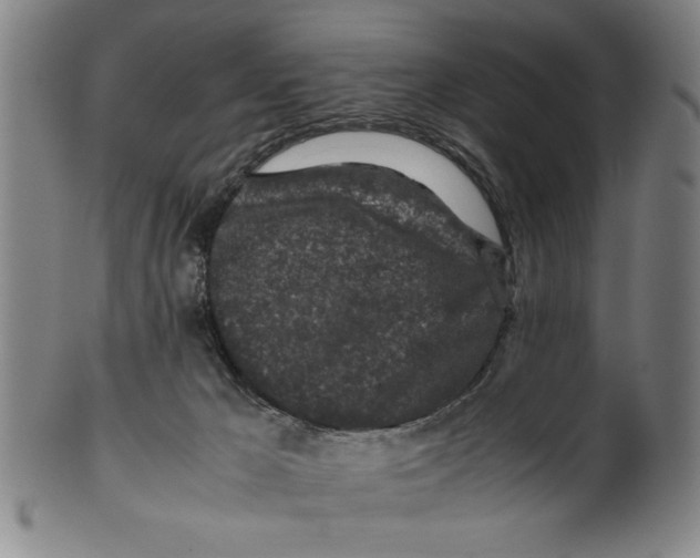 X0000099410029200806060942