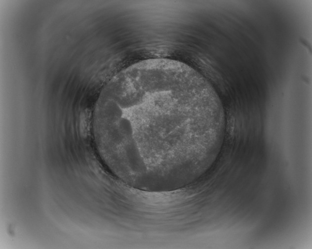 X0000099410030200806060942