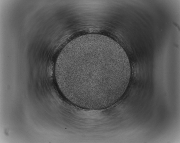 X0000099410032200806060942