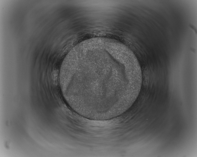 X0000099410034200806060942