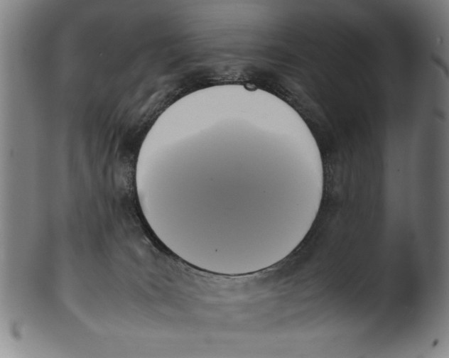 X0000099410035200806060942