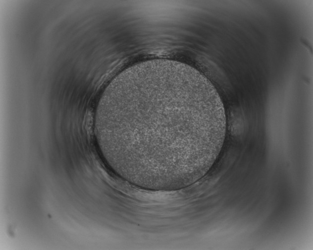 X0000099410036200806060942