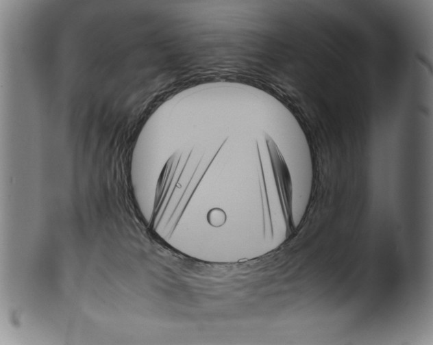 X0000099410037200806060942