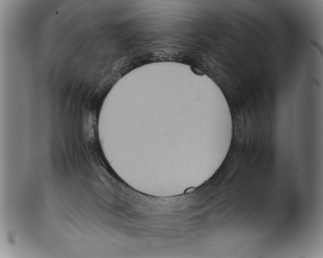 X0000099410038200806060942