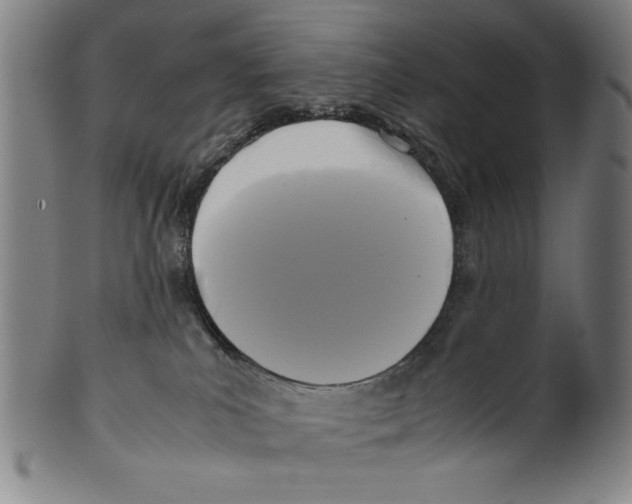 X0000099410039200806060942