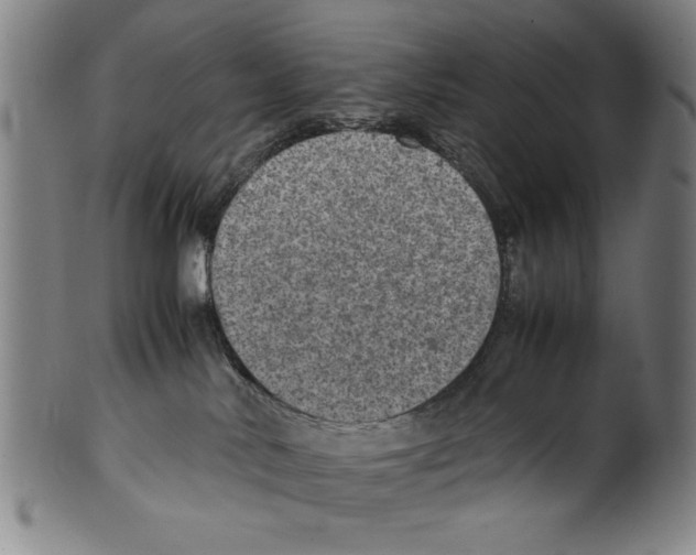 X0000099410042200806060942